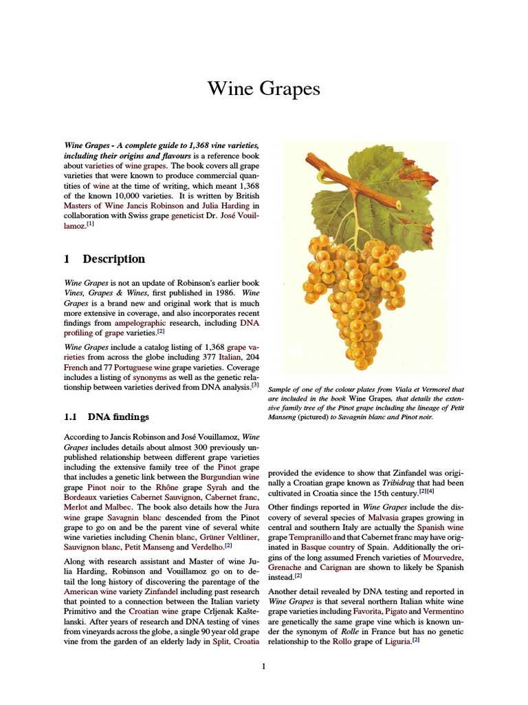 Wine Grapes | PDF | Grape | Alcoholic Drinks Wine Grapes | PDF | Grape | Alcoholic Drinks
