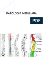 Patologia Medulara