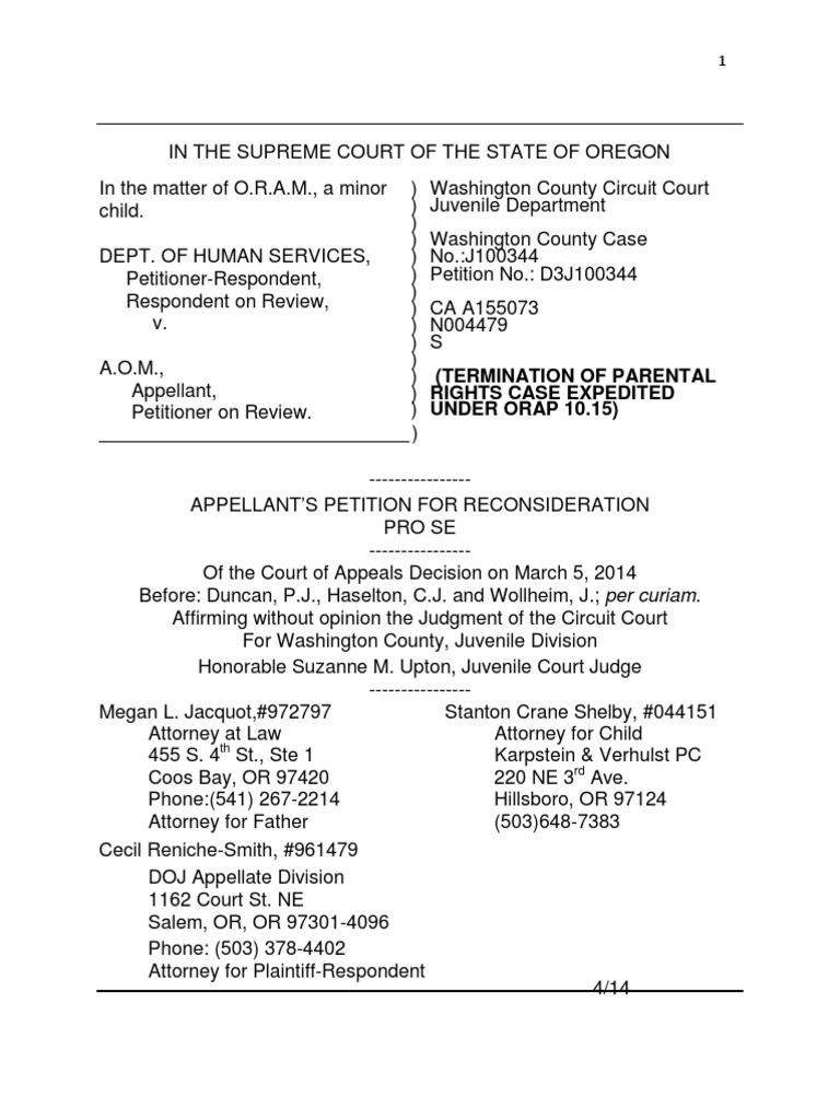 Petition for Reconsideration Child Custody Witness Free 30day