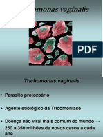 Aula 16 - Trichomonadídeos