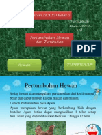 Pertumbuhan Hewan Dan Tumbuhan