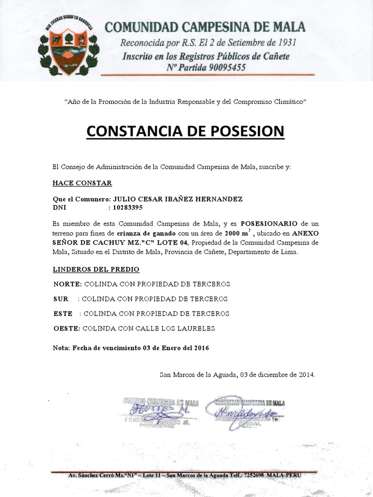 Constancia de Posesion | PDF