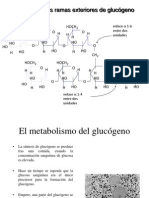 Metabolismo Del Glucógeno 