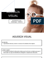 Agudeza Visual