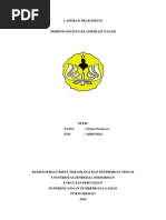 Download Laporan Morfologi Trisna Fix Ok by TrisnaKhozelPrastowo SN251293152 doc pdf