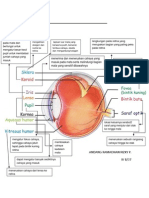 Bagian Mata Dan Fungsinya