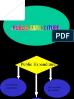 Public Expenditure