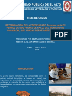 Tesis Toxocara Power Paint PDF