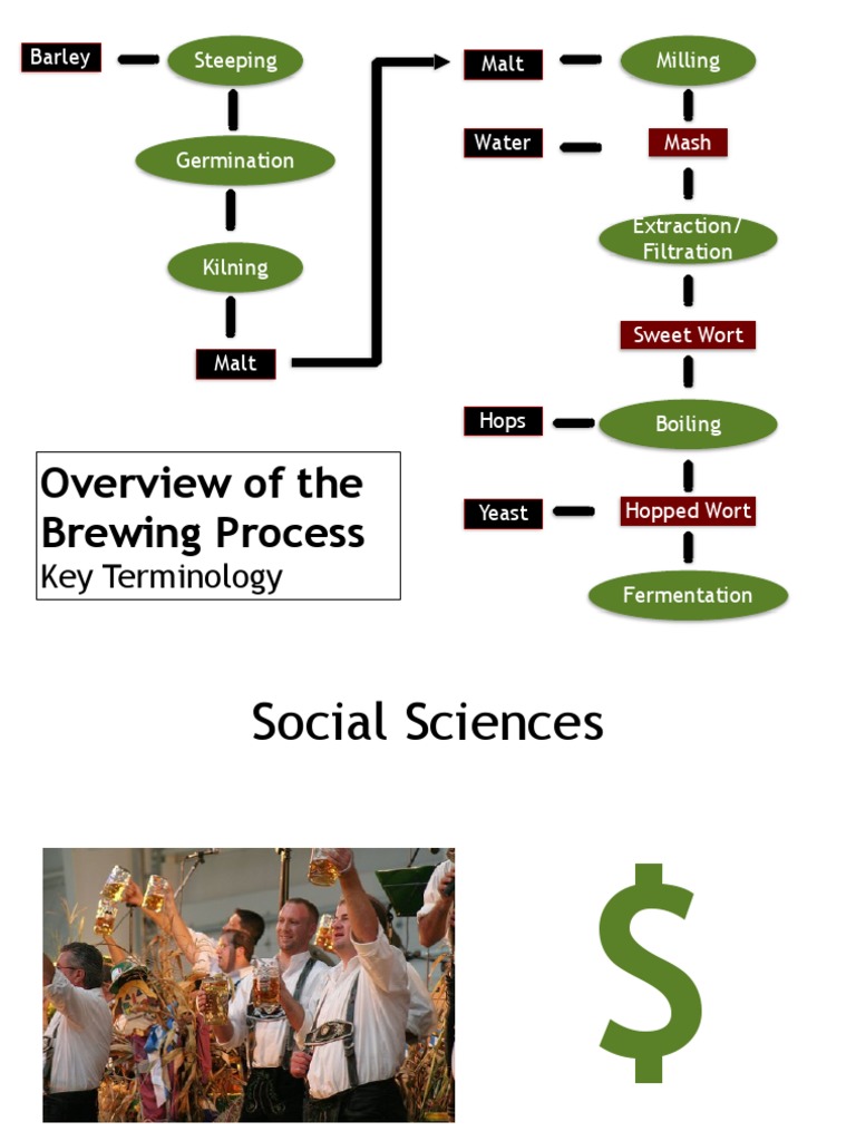Overview of The Brewing Process: Key Terminology | PDF