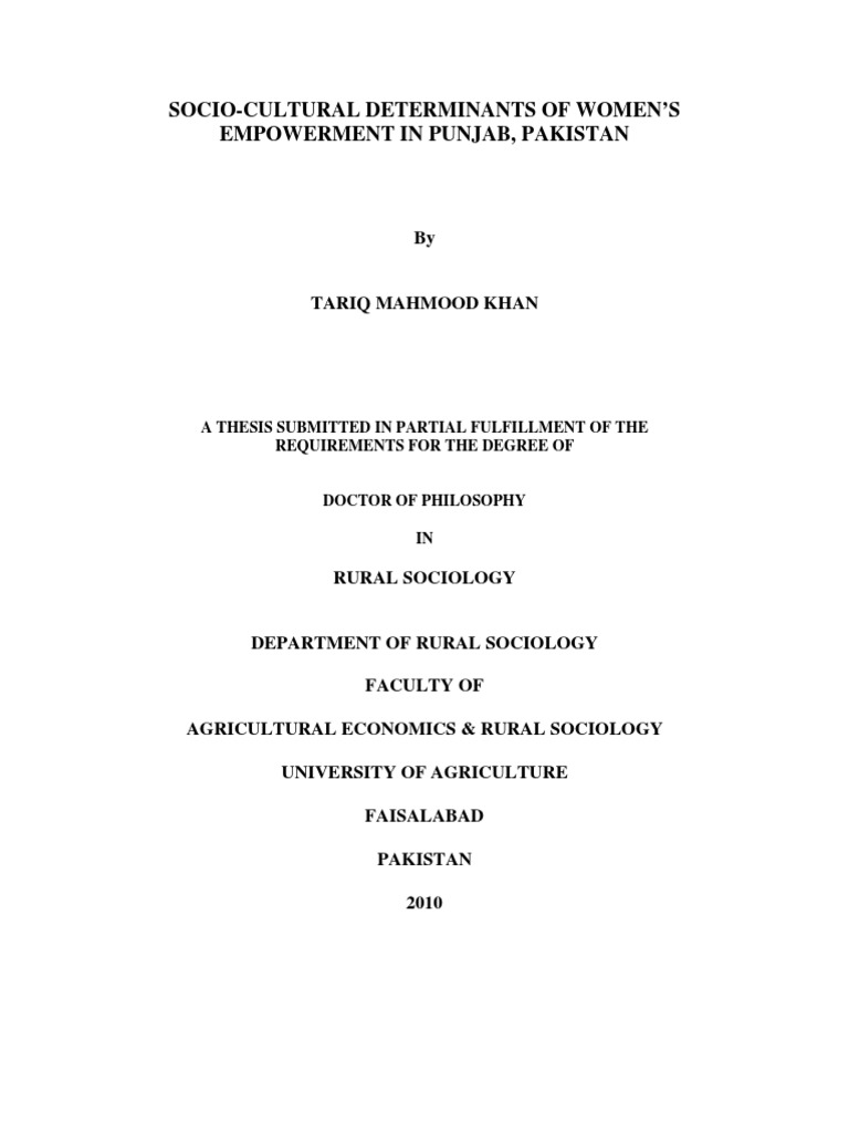 punjab university thesis pdf