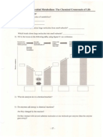 Micro 260 Cowan Chpt 8 SG Metabolism