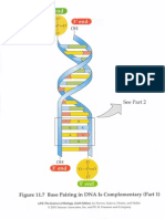 Micro 260 DNA Synthesis Overlays