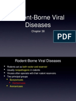 Rodent-Borne Viral Diseases