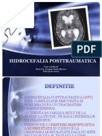 Hidrocefalia posttraumatica