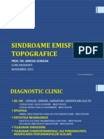 SINDROAME EMISFERE TOPOGRAFICE 