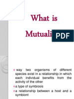 What Is Mutualism?