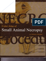 Color Atlas of Small Animal Necropsy