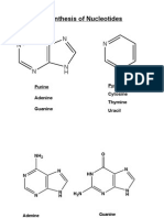 Biosynthesis of Nucleotides: Purine Adenine Guanine Pyrimidine Cytosine Thymine Uracil