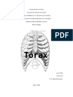 Anatomía Ósea Del Tórax