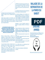 MALADIE DE LA SEPARATION DE LA PAROI DU SABOTHOOF-WALL SEPARATION DISEASE (HWSD)