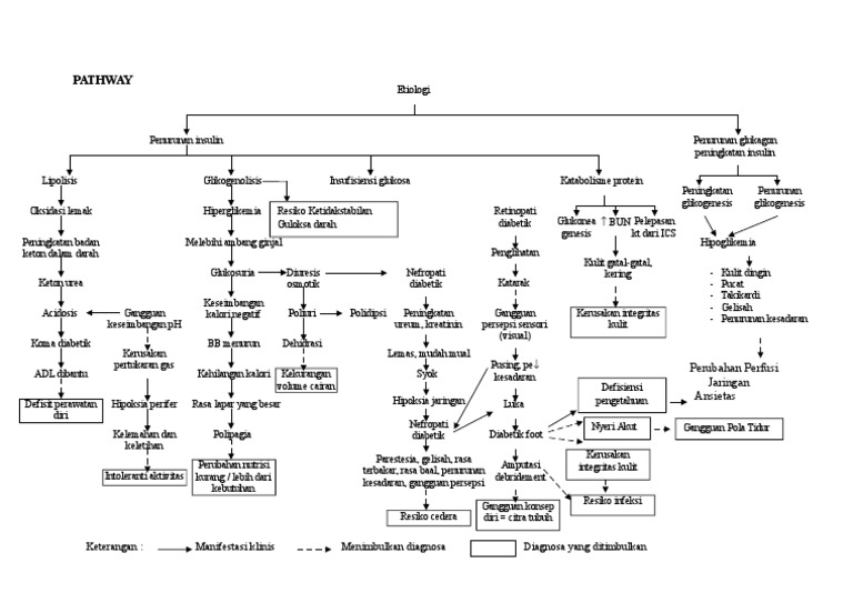 Pathway Diabetes Melitus Tipe 2 dan Perawatan | PDF
