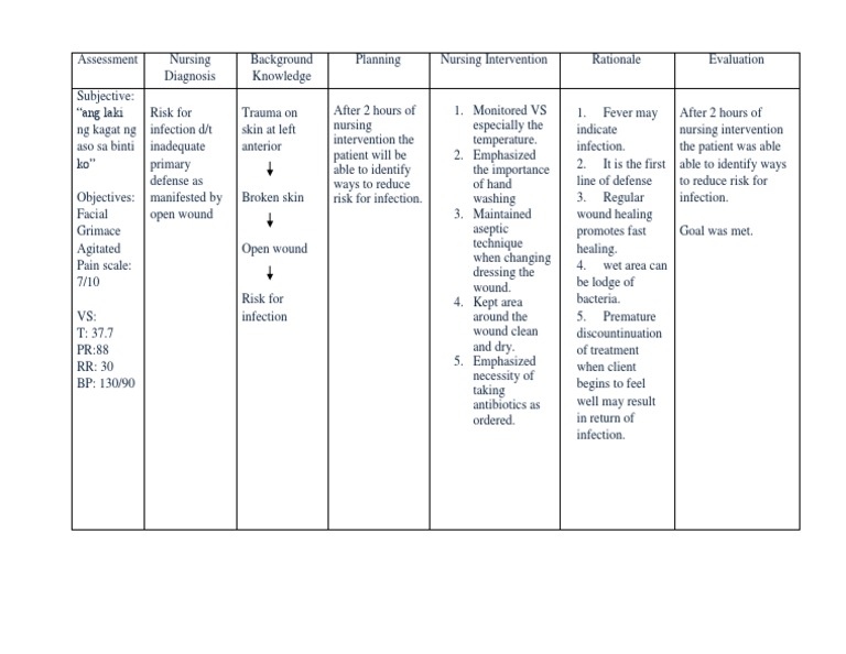 NCP Rabies | PDF