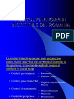 Auditul Fin in Instititiile Din Romania 1.Pps