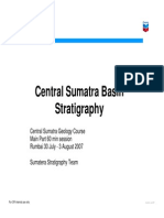 CSB Stratigraphy PDF
