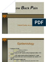 Download Low Back Pain LBP by Nabeel Kouka MD DO MBA MPH SN25146355 doc pdf