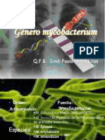 Gènero Mycobacterium