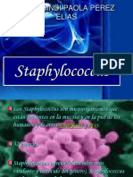 Staphylococcus, Streptococcus y Neisseria