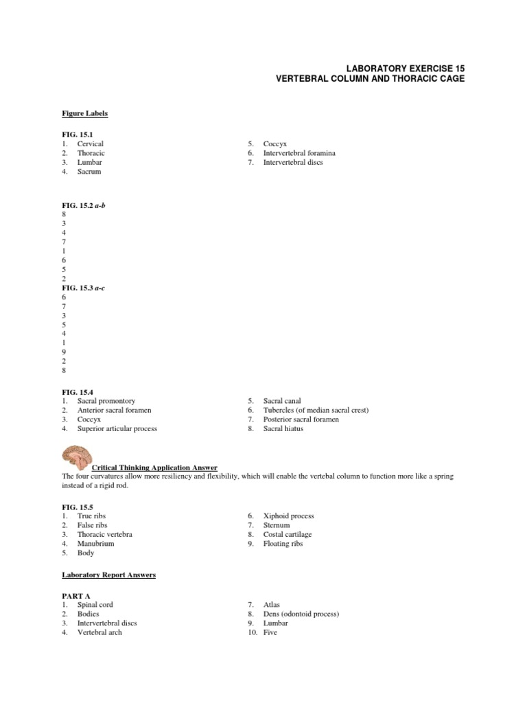 Laboratory Exercise 15