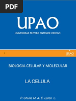 Tema 8- Célula