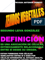 Tejidos Vegetales