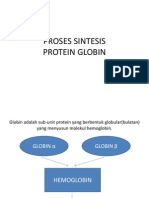 Proses Sintesis Globin