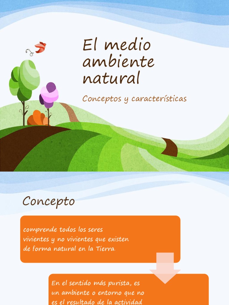 1.el Medio Ambiente Natural PDF | PDF | Plantas | Algas