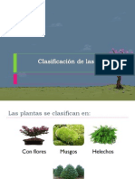 2. clasificacion plantas