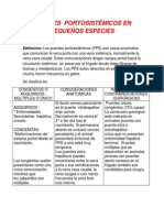 Puentes Portosistémicos en Pequeños Especies