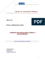 Experto en Psicología Clínica y Psicoterapia - Tema Xii - Grupos