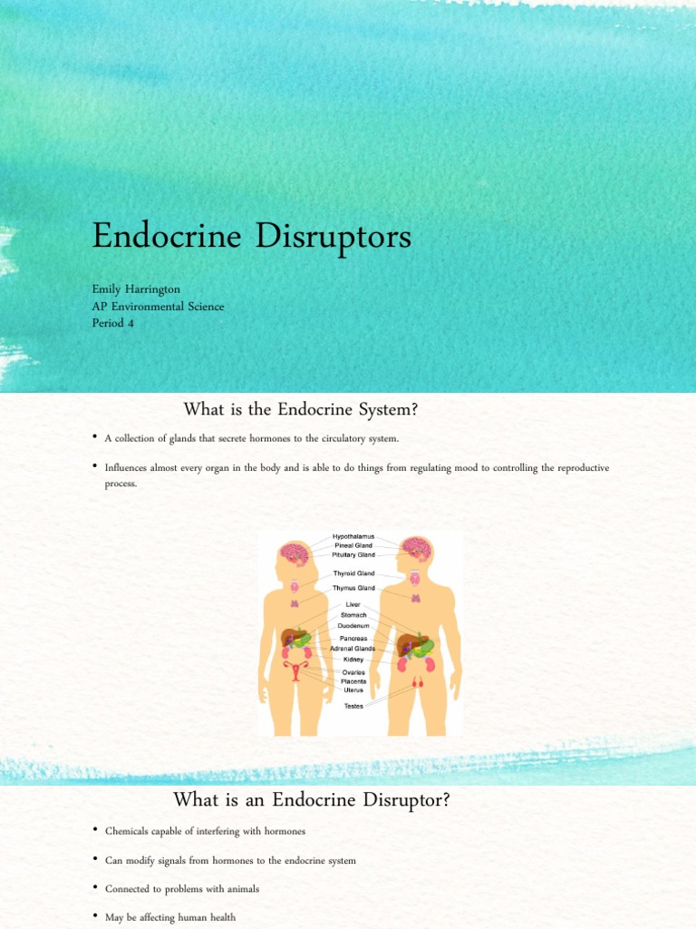 Endocrine Disruptors Emily Harrington AP Environmental Science Period