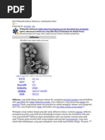 Download Influenza by Fiera Riandini SN251544286 doc pdf