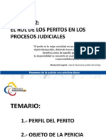 Modulo 2 Perfil Del Perito y Objeto de La Pericia M. Fernanda Roman y Pilar Chiriboga