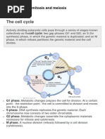 Cell Division Mitosis Meiosis Biology Lecture Mitosis Meiosis