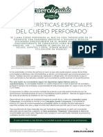 Coches - Caracteristicas Especiales Del Cuero Perforado PDF