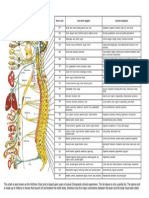 Neuro-AnatomyChart.pdf