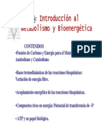 Bioenergetica