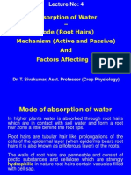 Absorption of Water - Mode (Root Hairs) Mechanism (Active and Passive) and Factors Affecting It