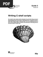 Writing CSH Shell Scripts