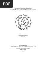 Download Laporan Praktikum Pteridologi Keankeragaman Tumbuhan Paku by Nia Rakhmayanti Nurdin SN251620380 doc pdf