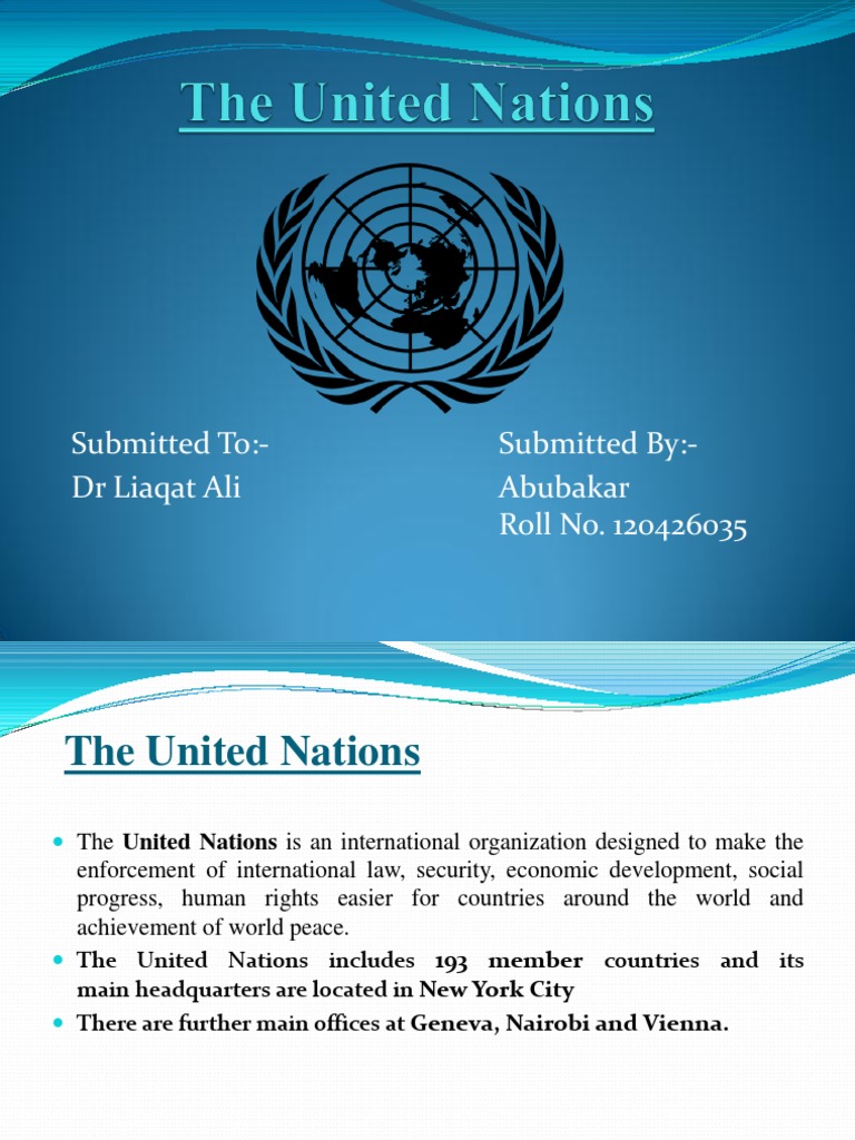 Overview of the United Nations Structure | PDF | Politics
